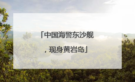 中国海警东沙舰，现身黄岩岛