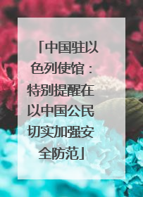 中国驻以色列使馆：特别提醒在以中国公民切实加强安全防范