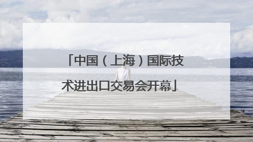 中国（上海）国际技术进出口交易会开幕