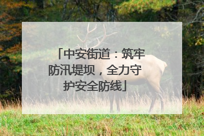 中安街道：筑牢防汛堤坝，全力守护安全防线