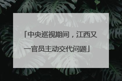 中央巡视期间，江西又一官员主动交代问题