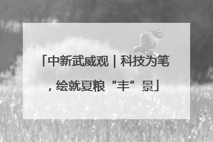 中新武威观｜科技为笔，绘就夏粮“丰”景