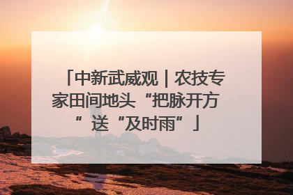 中新武威观｜农技专家田间地头“把脉开方”送“及时雨”