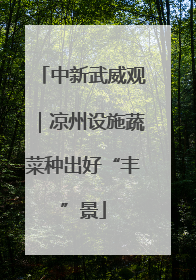 中新武威观｜凉州设施蔬菜种出好“丰”景