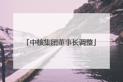 中核集团董事长调整