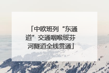中欧班列“东通道”交通咽喉绥芬河隧道全线贯通