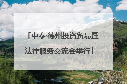 中泰·德州投资贸易暨法律服务交流会举行