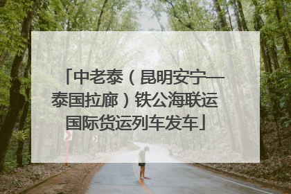 中老泰（昆明安宁—泰国拉廊）铁公海联运国际货运列车发车