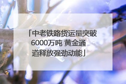 中老铁路货运量突破6000万吨 黄金通道释放强劲动能