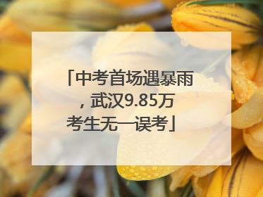 中考首场遇暴雨，武汉9.85万考生无一误考