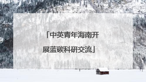 中英青年海南开展蓝碳科研交流