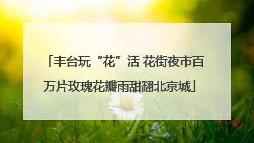 丰台玩“花”活 花街夜市百万片玫瑰花瓣雨甜翻北京城