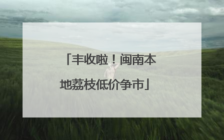 丰收啦！闽南本地荔枝低价争市