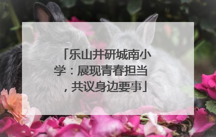 乐山井研城南小学：展现青春担当，共议身边要事