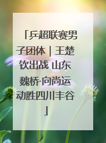 乒超联赛男子团体｜王楚钦出战 山东魏桥·向尚运动胜四川丰谷