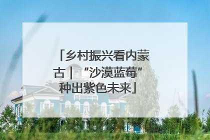 乡村振兴看内蒙古｜“沙漠蓝莓”种出紫色未来