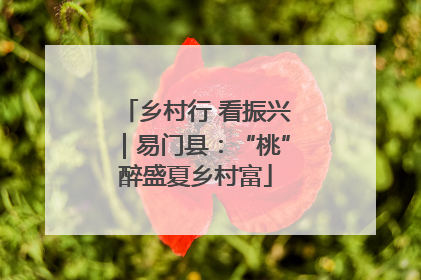 乡村行 看振兴｜易门县：“桃”醉盛夏乡村富