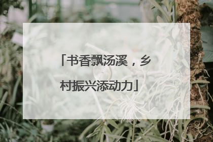书香飘汤溪，乡村振兴添动力