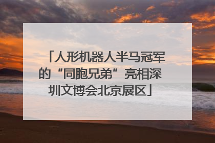 人形机器人半马冠军的“同胞兄弟”亮相深圳文博会北京展区