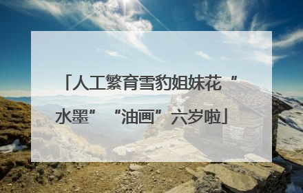 人工繁育雪豹姐妹花“水墨”“油画”六岁啦