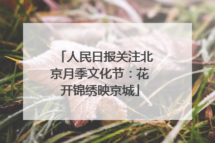 人民日报关注北京月季文化节：花开锦绣映京城