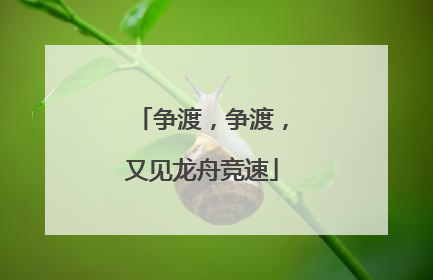 争渡，争渡，又见龙舟竞速