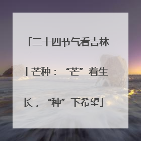 二十四节气看吉林丨芒种：“芒”着生长，“种”下希望