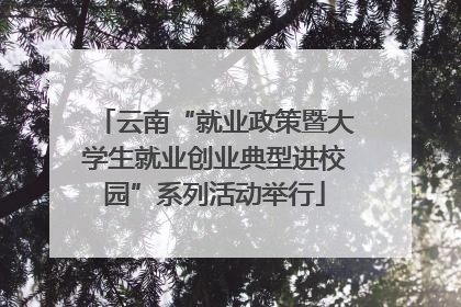 云南“就业政策暨大学生就业创业典型进校园”系列活动举行