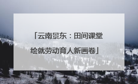 云南景东：田间课堂绘就劳动育人新画卷