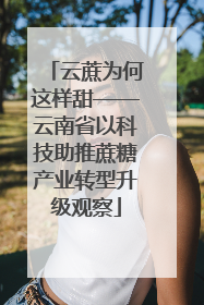 云蔗为何这样甜——云南省以科技助推蔗糖产业转型升级观察