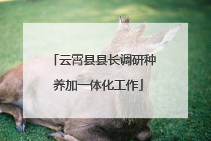 云霄县县长调研种养加一体化工作