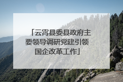 云霄县委县政府主要领导调研党建引领国企改革工作