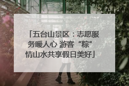 五台山景区：志愿服务暖人心 游客“粽”情山水共享假日美好