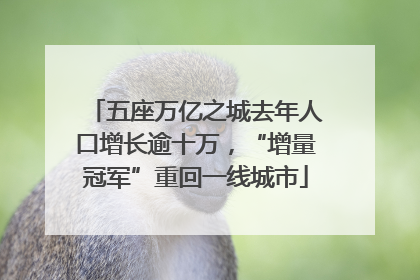 五座万亿之城去年人口增长逾十万，“增量冠军”重回一线城市