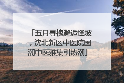 五月寻槐邂逅怪坡，沈北新区中医院国潮中医雅集引热潮