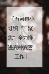 五河县小圩镇“三聚焦”全力推进夏种夏管工作