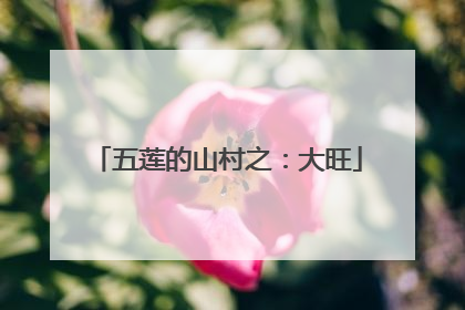 五莲的山村之：大旺