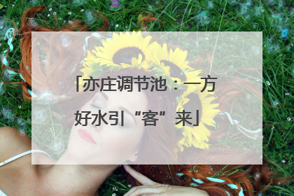 亦庄调节池：一方好水引“客”来