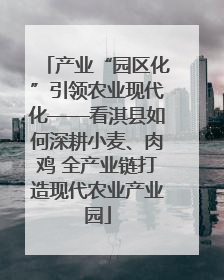 产业“园区化”引领农业现代化——看淇县如何深耕小麦、肉鸡 全产业链打造现代农业产业园