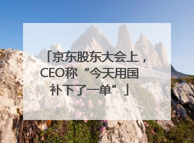 京东股东大会上，CEO称“今天用国补下了一单”