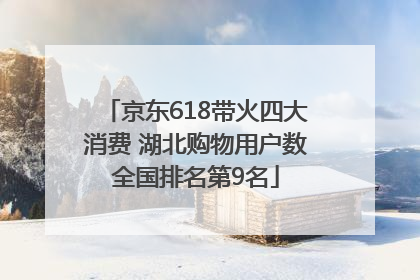 京东618带火四大消费 湖北购物用户数全国排名第9名