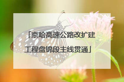 京哈高速公路改扩建工程盘锦段主线贯通