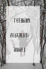 任振鹤在庆阳市调研