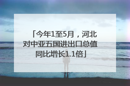 今年1至5月，河北对中亚五国进出口总值同比增长1.1倍