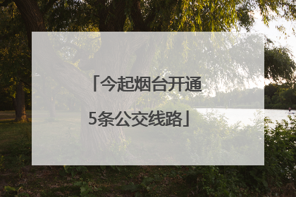今起烟台开通5条公交线路
