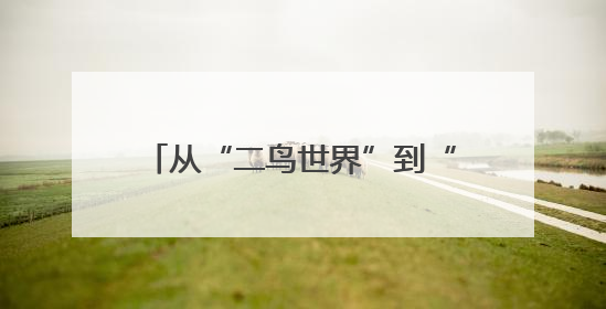 从“二鸟世界”到“五口之家” 一对东方白鹳的黄河口之恋