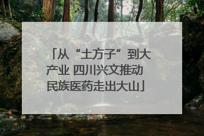 从“土方子”到大产业 四川兴文推动民族医药走出大山