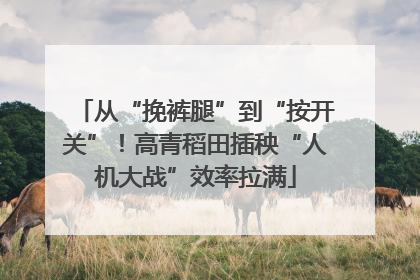 从“挽裤腿”到“按开关”！高青稻田插秧“人机大战”效率拉满