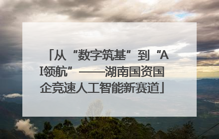从“数字筑基”到“AI领航”——湖南国资国企竞速人工智能新赛道
