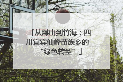 从煤山到竹海：四川宜宾仙峰苗族乡的“绿色转型”